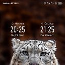���� ���������, ���������, 38 ��� - ��������� 10 ������ 2025 � ������ ���� ����������