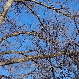 Фото Кристина, Владивосток, 35 лет Кристина, Владивосток, 35 лет