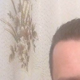 ����, ����-�������, 50 ���