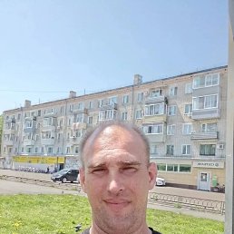 ����, 41 ���, ������������