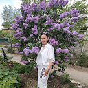 ���� ������, ���������, 66 ��� - ��������� 30 ������ 2026