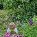 ���� ���������, ����������� - ��������� 11 ������� 2025 � ������ ���� ����������