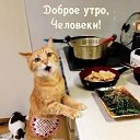 ���� Olga, ������ - ��������� 1 ������� 2025 � ������ ������ ��������