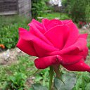 ���� ��������, ������, 72 ���� - ��������� 11 ������ 2024 � ������ ������ ��������