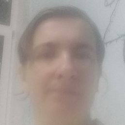 ���, ������, 41 ���