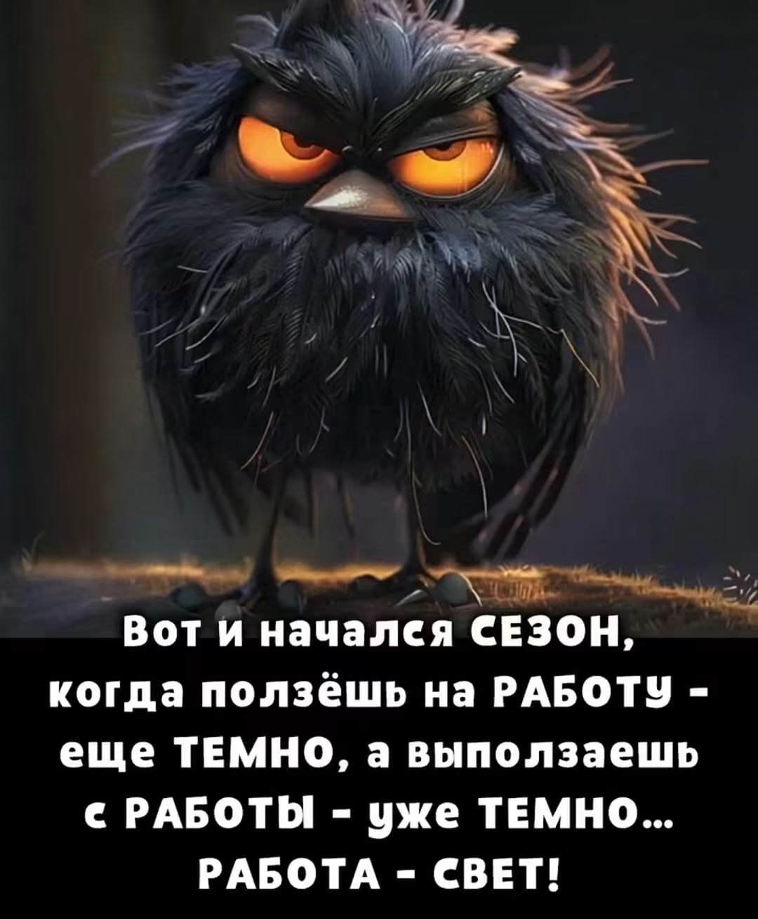 '����' - 9 ������� 2026 � 12:28