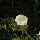  , -, 67  -  24  2023    