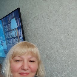 ���� �������, �����, 66 ��� - ��������� 24 ���� 2026