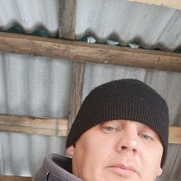 , 31, 