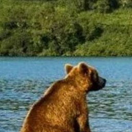 �����, ������-��-����, 36 ���