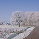 ���� ��������, ������, 25 ��� - ��������� 20 ������� 2023 � ������ ���� ����������