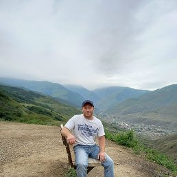 , 44, 