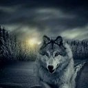 ���� ������, ������, 43 ���� - ��������� 2 ������� 2024 � ������ ���� ����������
