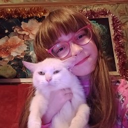 ���� ����, ����, 19 ��� - ��������� 20 ������ 2026