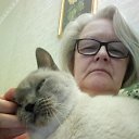 ���� �����-������ �.125/�.253, ���, 63 ���� - ��������� 10 ����� 2026 � ������ ���� ����������