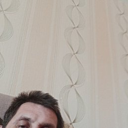 ������, ������, 44 ����