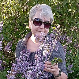 ���� ����, �������, 61 ���