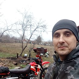 ���� ����, �������, 37 ��� - ��������� 5 ������ 2026