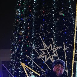 ������, ���, 62 ����