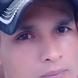 , 33, 