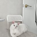 ���� �����, �����, 60 ��� - ��������� 18 ���� 2026 � ������ ���� ����������