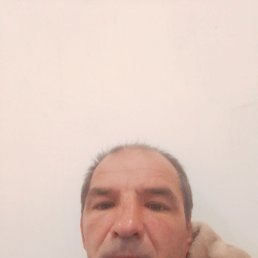 , 37, 