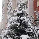 ���� �������, ����������� - ��������� 8 ������� 2025 � ������ ���� ����������