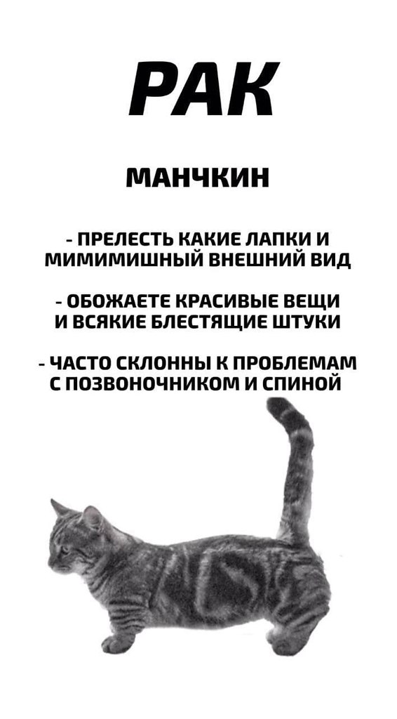       - 7