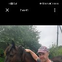 ���� ���������, ����, 52 ���� - ��������� 22 ������ 2026 � ������ ���� ����������