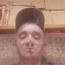  , 46 , 