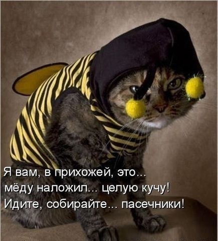 ? ,  ! - 11  2024  18:49