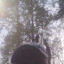  Denis, , 39  -  14  2025    