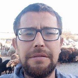 ��������, �������, 38 ���