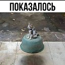 ���� ���������, �������, 52 ���� - ��������� 24 ���� 2026 � ������ ������ ��������