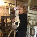 ���� ����, �����-���������, 52 ���� - ��������� 10 ���� 2025