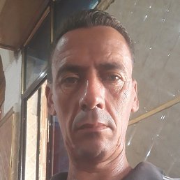 Ayoub, , 50 