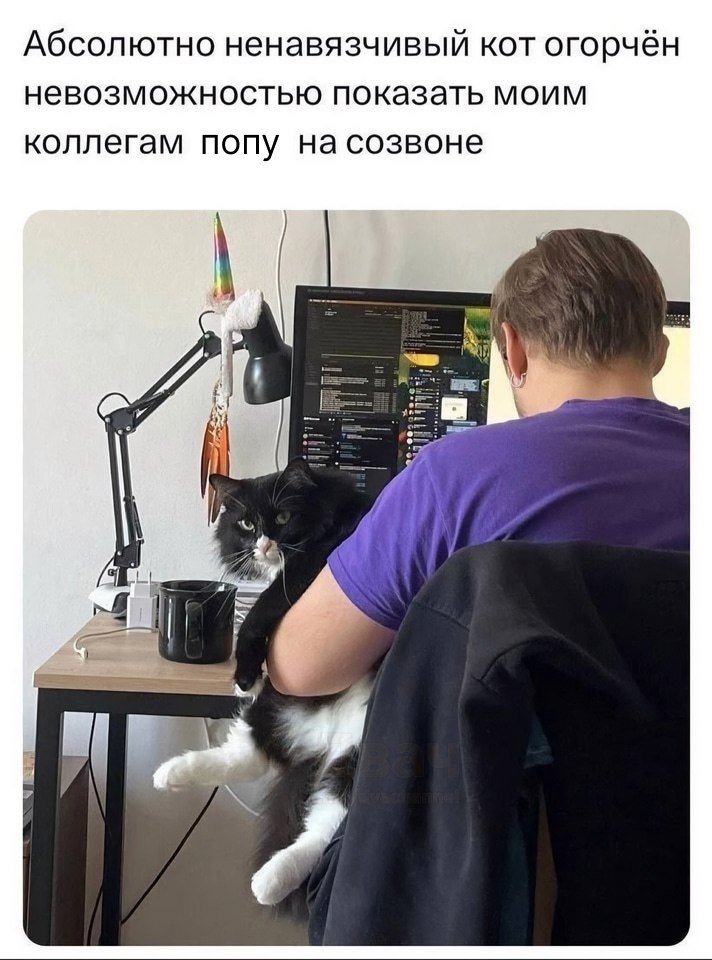 ���� ��������, ������ ����, ���� ��������. ��� ���� ����������? ������������ ���� ����� ���� ������, ...