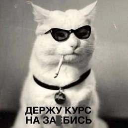 ���� ����, ����, 34 ���� - ��������� 22 ��� 2025