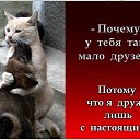 ���� �������., ������ - ��������� 22 ���� 2024 � ������ ������ ��������