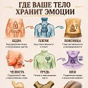���� �����, ������ - ��������� 31 ��� 2026 � ������ ������ ��������