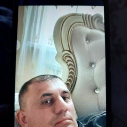 �����, 40 ���, ������