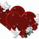 ���� ������, ������-��-����, 42 ���� - ��������� 22 ������� 2026 � ������ ���� ����������