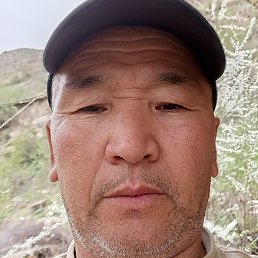 ����, ������������, 50 ���