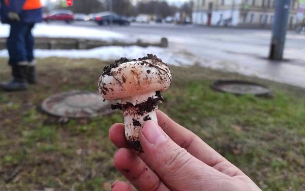 � ���������� �� ����������� ����� ��������� ������ ����������