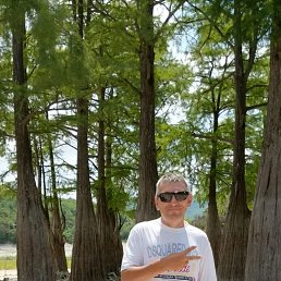 ������, 46 ���, ������������