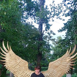 �������, �������, 46 ���