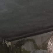 �����, 40 ���, ������