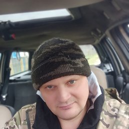 ������, �����, 40 ���