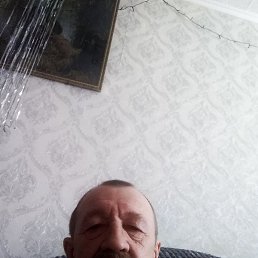 ���� �����, ����, 91 ��� - ��������� 20 ������ 2024