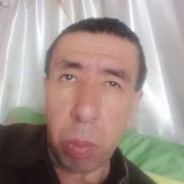 ����, ������, 49 ���